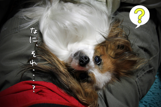 ¡Ú¥Ó¥ë¥Ù¥ê¡¼¥«¥ì¥ó¥Ç¥å¥é¡Û¡¡03