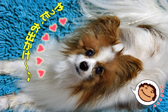 ¤µ¤Æ¡¢¤ª½Ð¤«¤±¡¦¡¦¡¦¡¡02
