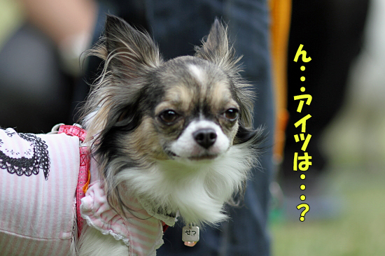¡Ú¥µ¥¶¥ª¥Õ2011¡Û part1¡¡18