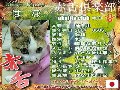 066-hana-2008may