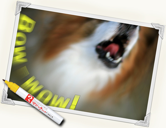 ¾Ð¤Ã¤Æ¾Ð¤Ã¤Æ¡ª¡¡14