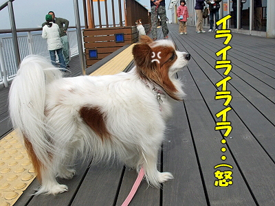 ¥µ¥¶¥Ó¡¼¡¢Á¥¤Ë¾è¤ë¤Î´¬¬