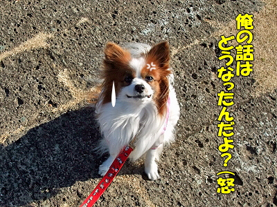 ¥Ð¥ì¥ó¥¿¥¤¥ó¡ú¥µ¥¶¥Ó¡¼¦