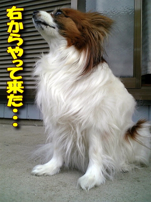 ±¦¤«¤é¤ä¤Ã¤ÆÍ褿¡¦¡¦¡¦¡¦