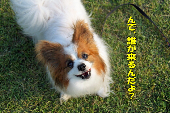 ¡ÚWan 2011¡Û¡Ê¥×¥í¥í¡¼¥°¡Ë¡¡01
