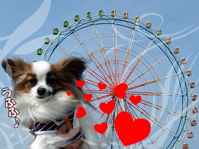 DOG GARDEN CAFE¡