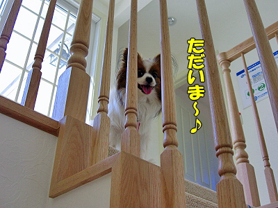Ã塹¤È¡¦¡¦¡¦¡¦¡¦¢