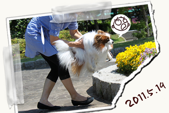 ¡ÚWan 2011¡Û¡ÊÃæÊÓ¡Ë¡¡08