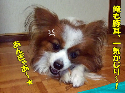 °ìµ¤¡£¡£©