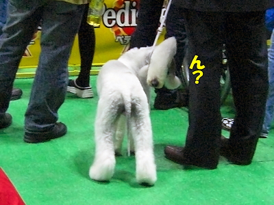 ¥¢¥¸¥¢¥¤¥ó¥¿¡¼2008¡ÊÁ°ÊÓ¡Ë21