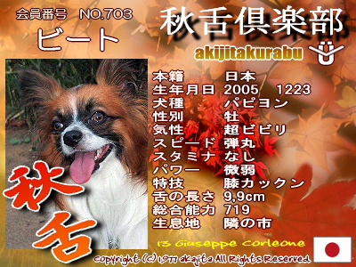 703-beet-aki