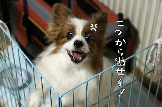 ¥¯¥·¥ã¥È¥ê¥¢È¯¸«¡¦¡¦¡¦¡ª¨