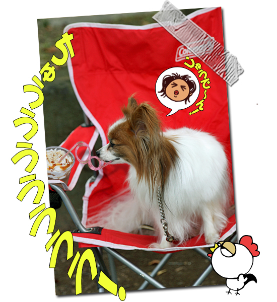 ¡Ú¥µ¥¶¥ª¥Õ¡¦2014¡Û¡ú¤½¤Î4¡¡µÞ®½¼ÅÅÃæ¡Á¡ª¡¡12