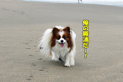 ¾¡±º¥ª¥ó¥é¥¤¥ó¡¡part2£