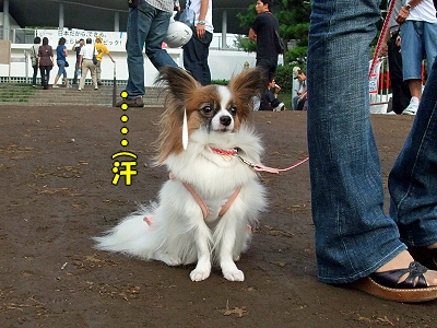 Çò¤¤µðÅãª