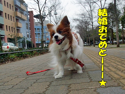 JOY¤È¶¦¤Ë¡¦¸åÊÔ«