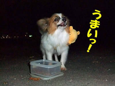 ¥Ó¥¬¥í¤È¿©»ö¢ö§