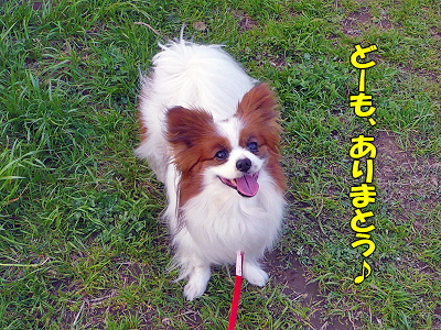 Àµ²ò¼Ô¿¿ô¡¦¡¦¡¦orz³