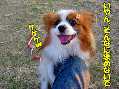 ¤ª¤Þ¤»¤Ê¥µ¥¶¥Ó¡¼¬