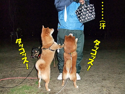 ·îÍËÆü¤Ï¥¿¥³¥¹¤ÎÆü±