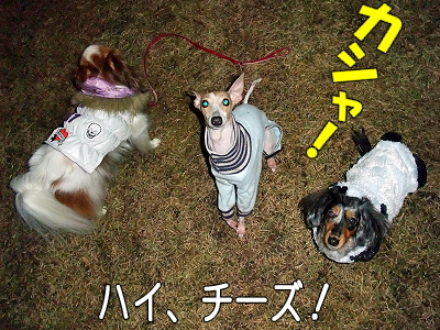 ¥Ñ¥ó¥ÀÍè½±¡¦¡¦¡¦¡¦¡¦ª
