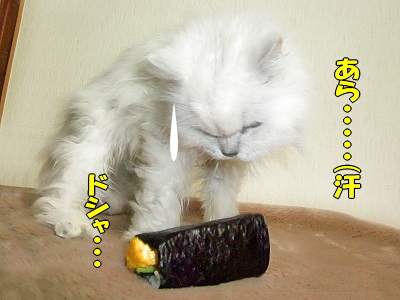 ÂÀ´¬¤¿©¤Ù¤¿¤¤¡ª¬