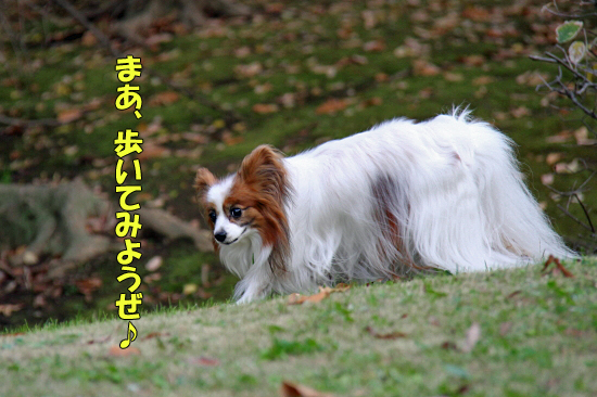 ¤è¤»¤Ð¥¤¥¤¤Î¤Ë¹áÀ¡¸ø±à¡¦¡¦¡¦¡¡10