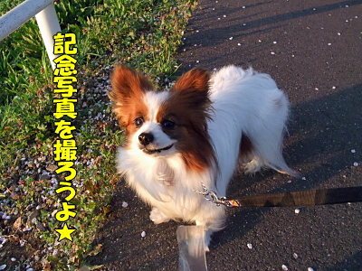 ºù²Öà¥Ì¡¥