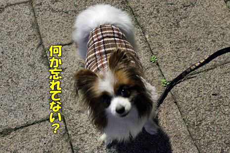 ¤¤¤Æ¤¤Þ¢ö¢