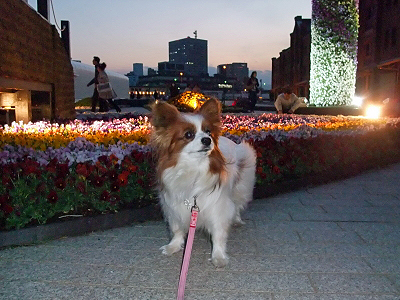 .:*:'¡¬¡ù.:*:'¡¬Sazaby's blog.:*:'¡¬¡ù.:*:'¡¬²