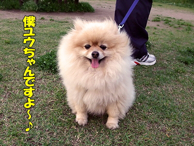 ¥À¥ë¥Þ¤¸¤ã¤Ê¤¤¡ª¡