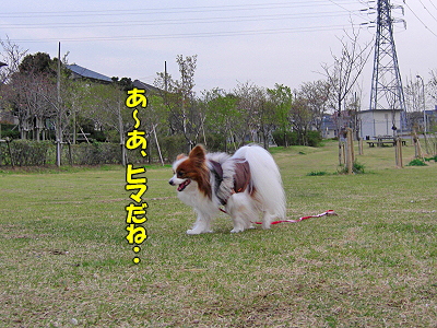 Àïͧ¸½¤ë¡ª¬