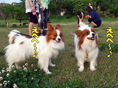 ¥·¡¼¥º¥ó¡¦¥¤¥ó¡¦¥¶¡¦¥µ¥ó?