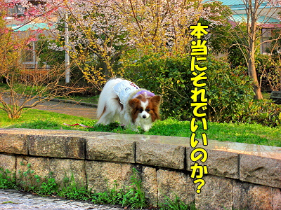 ¡ú¥µ¥¶¥Ó¡¼¤´²ûÇ¥¡úª