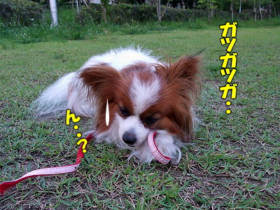 ¤¢¤Ê¤´Âç¹¥¤¡ú±