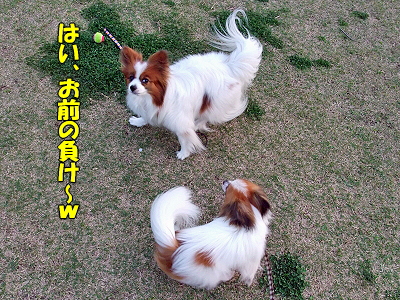 ¥Þ¡¼¥Ù¥ë¤ÈÍëÁµ¤