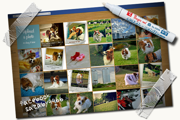 FB sazaby9966¡¡05