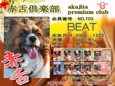 ÀÖÀå¥×¥ì¥ß¥¢¥à¥«¡¼¥É¡ú¥