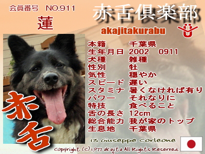 911-ren-2007