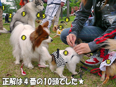 ¥ï¥ó¥³¤Î¿ô¤Ï¡©£