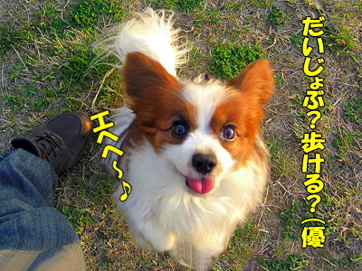 ¤À¤¤¤¸¤ç¤Ö¤«¡©¡©¨