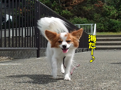 38ǯ²ñ⑦