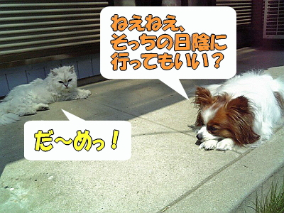 ¥·¥ã¥É¥¦²È²¢