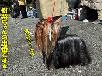 ¿·¡¦°ðÌÓ³¤´ß¤Ë¤Æ¥