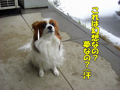 Ä«¡¢µ¯¤¤¿¤é¡¦¡¦¡¦¡¦£