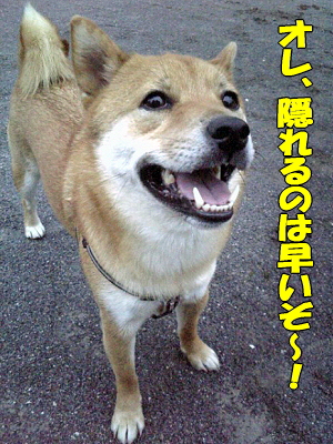 ¥ª¥ì¤ÏÁᤨ¡Á¤¾¡ª