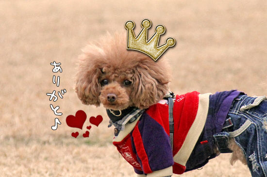 ¤Ï¤Ô¤Ð¡¼¤¹¤Ç¤¤¢ö¡¡04