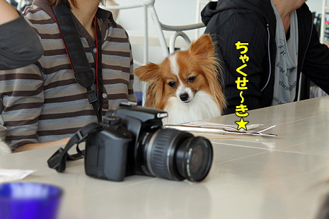 ³¡¦¤µ¤¤Ã¤Ä¤¡¤ó¥ª¥Õ¢ö¥