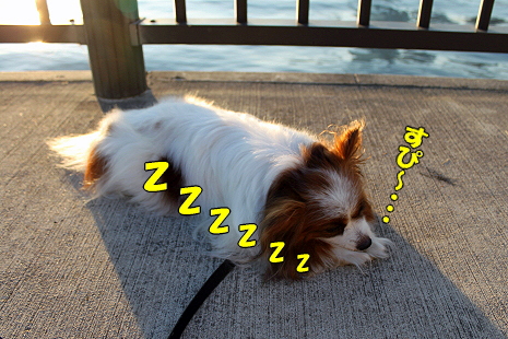 ¤µ¤è¤Ê¤é¡¢¥¢¥¤µ¤ó¡¦¡¦¡¦23