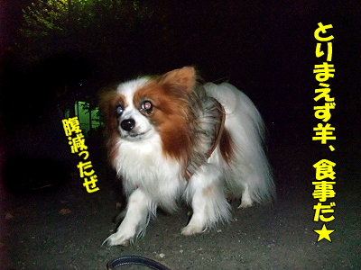 ¥Ó¥¬¥í¤È¿©»ö¢ö¥